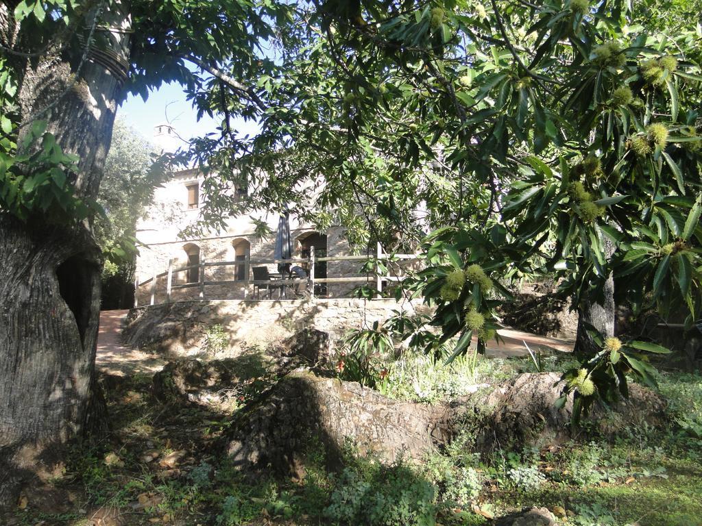 Finca La Colora ฟูเอนเตรีโดส ภายนอก รูปภาพ